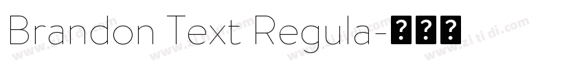 Brandon Text Regula字体转换 Brandon Text Regula字体转换